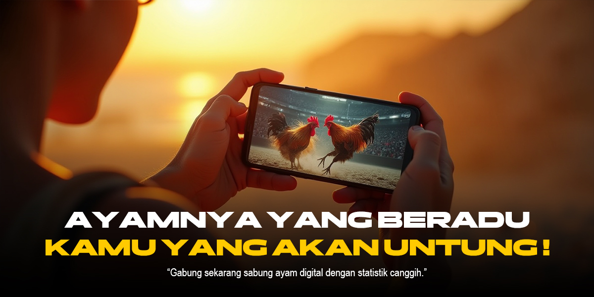 Sabung Ayam: Dinamika Tradisi dan Fenomena Kontemporer